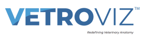 Vetroviz Logo